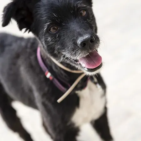 Ceres - Boutique-hotel & ホテル 3*