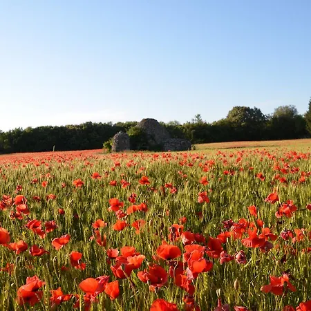 Ceres - Boutique-hotel & 3*